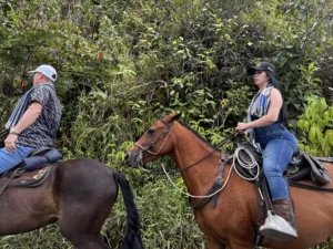 Valle del Cauca